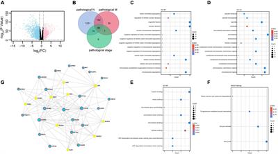 Identification of a Novel Epigenetic Signature CHFR as a Potential Prognostic Gene Involved in Metastatic Clear Cell Renal Cell Carcinoma